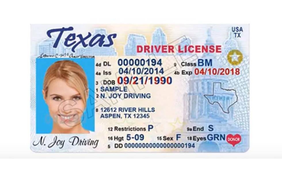 texas department of drivers license